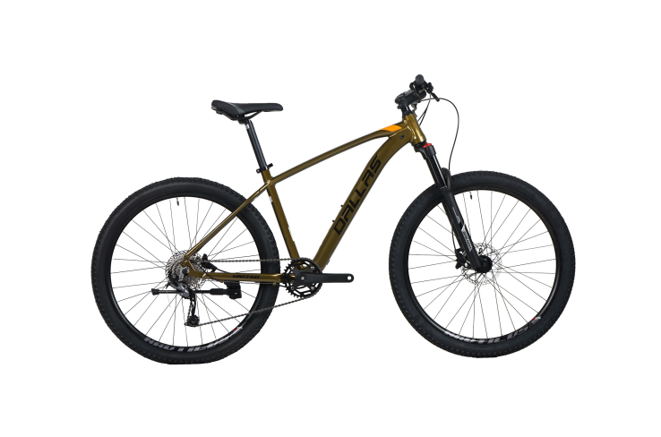 DALLAS 191 :: Gold-Black