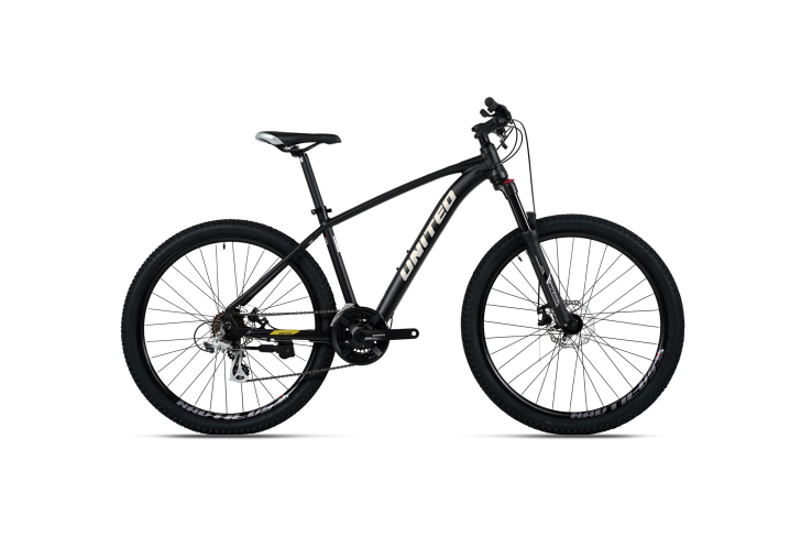 DALLAS 381 :: Black-Gold