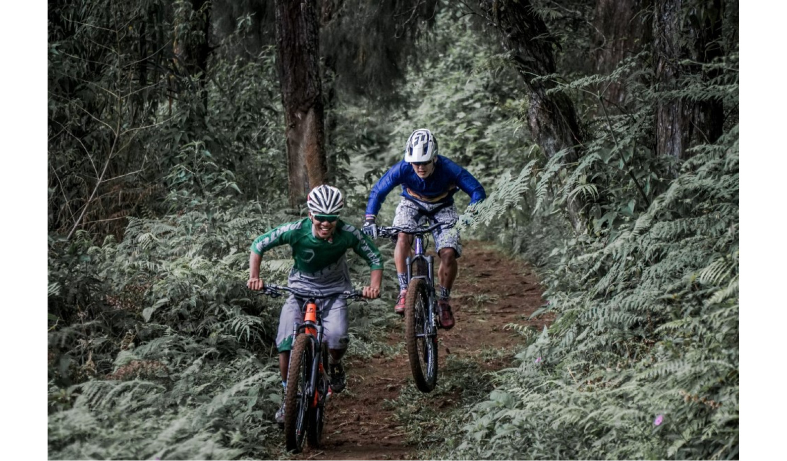 Strategi Inovasi United Bike, Menjawab Tingginya Minat Pasar Sepeda Gunung di Indonesia