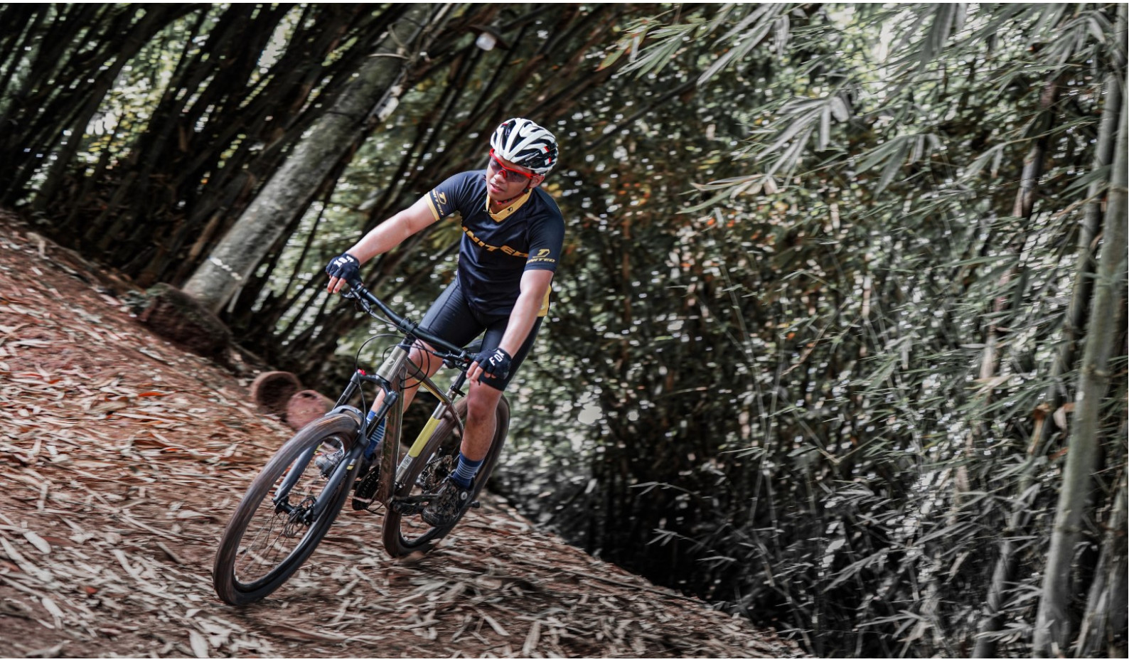 Affordable Bicycles from UNITED Bike
