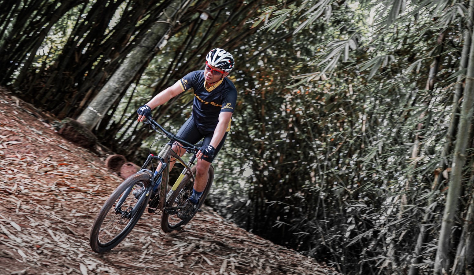Affordable Bicycles from UNITED Bike